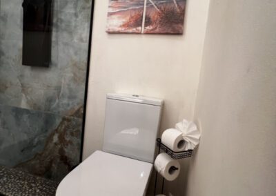 WC in bathroom with coconut trees print above.