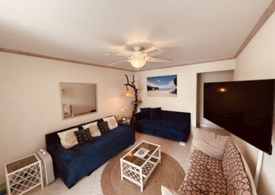 Large blue sofa with seascape artwork above, and a locally designed and made artisnal light feature. Wall mounted TV.
