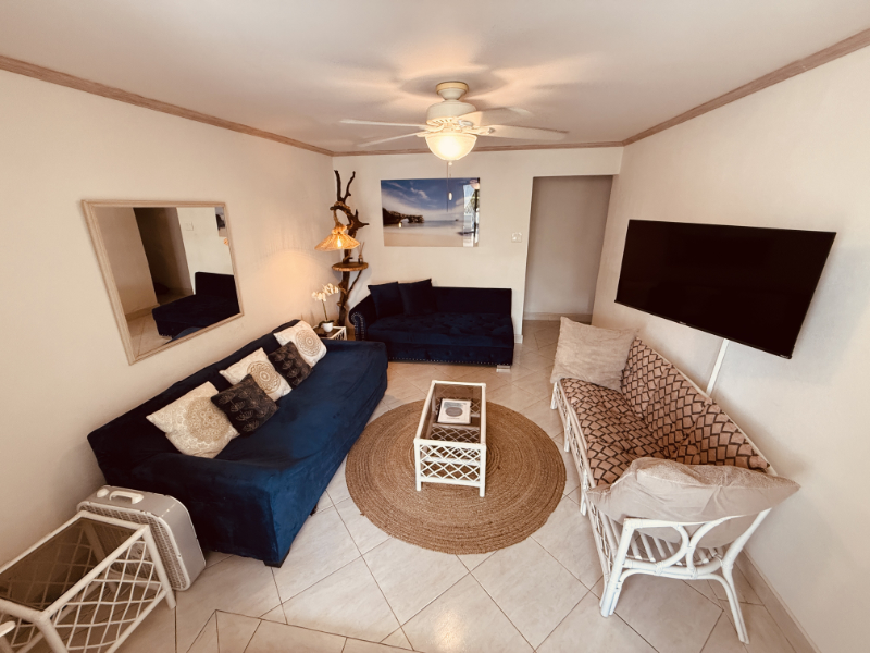 Large blue sofa with seascape artwork above, and a locally designed and made artisnal light feature. Wall mounted TV.