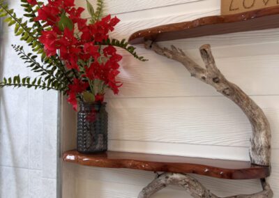 Shelves above WC in bathroom with flowers and decorative driftwood.