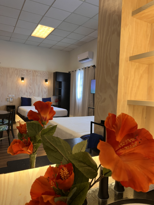 View of two beds in mirror.