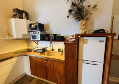 Kitchen showing microwave, toaster oven, hob, fridge, sink, with crockery and complimentary tea / coffee.